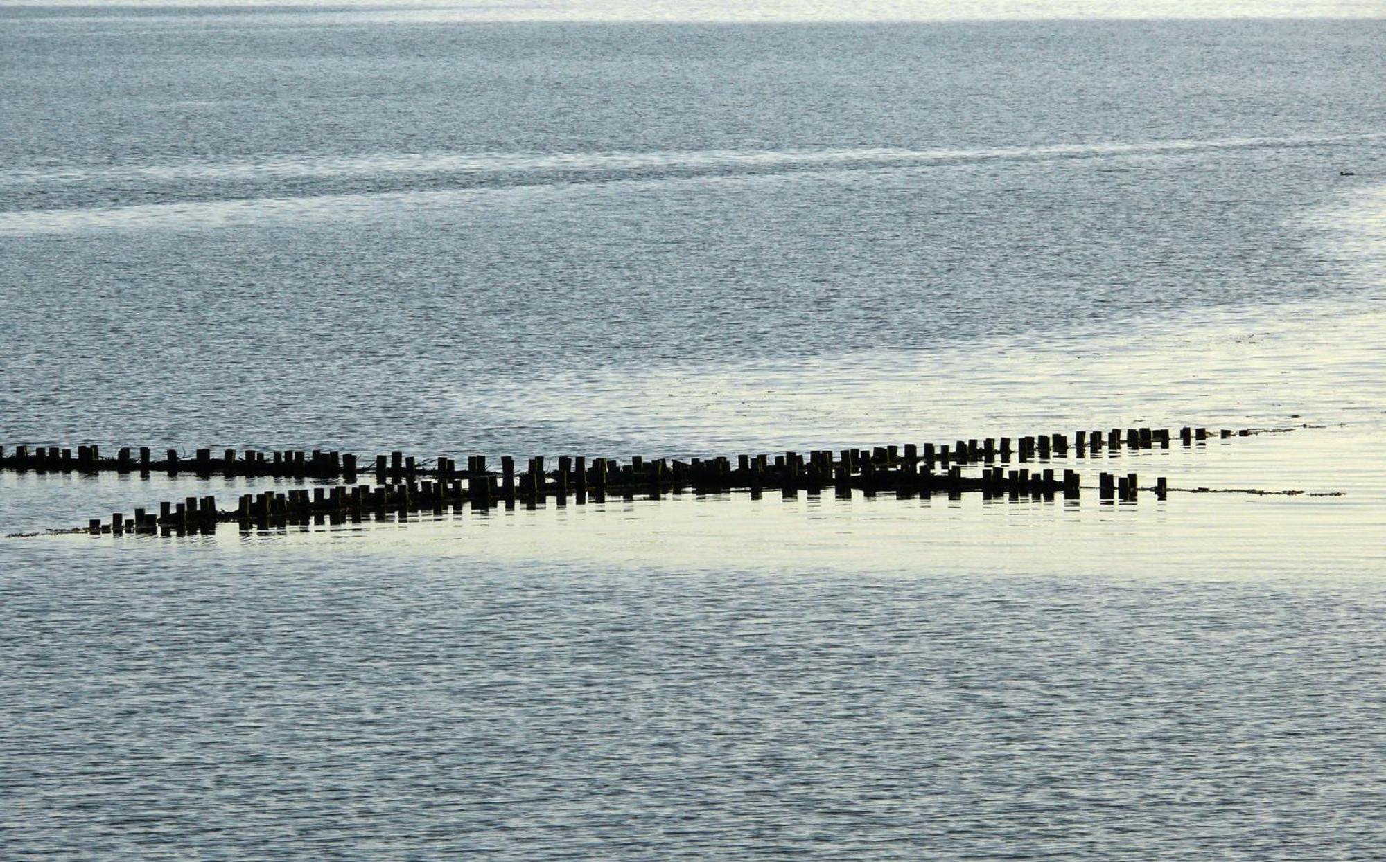 Haus Halligblick, Ferienwohnungen Am Wattenmeer, Whg Langenness Dagebüll Exteriör bild
